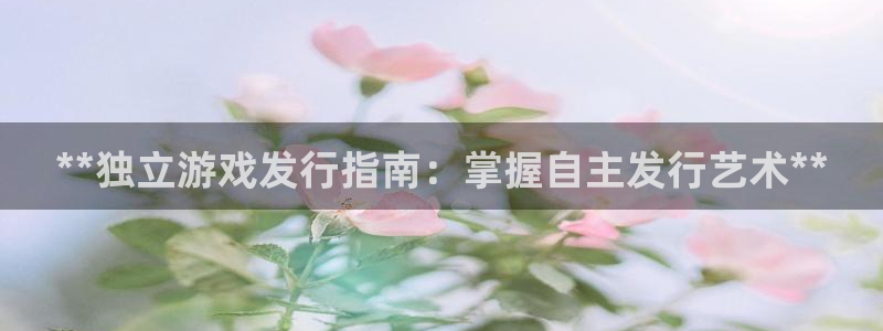 新城平台注册网址是什么：**独立游戏发行指南：掌握自主发行艺术**