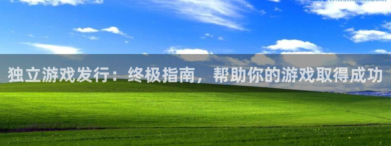 新城平台代理电话：独立游戏发行：终极指南，帮助你的游戏取得成功