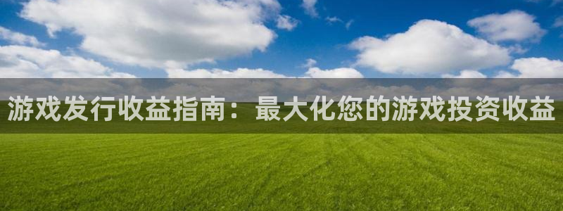 新城平台登录：游戏发行收益指南：最大化您的游戏投资收益