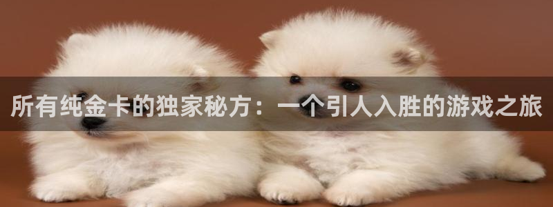 新城平台线路登录不上去