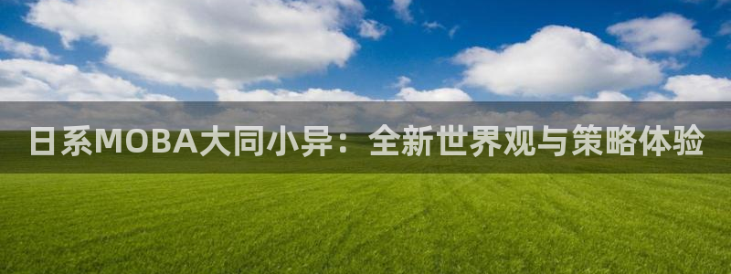 新城平台线路登录不上去怎么回事儿