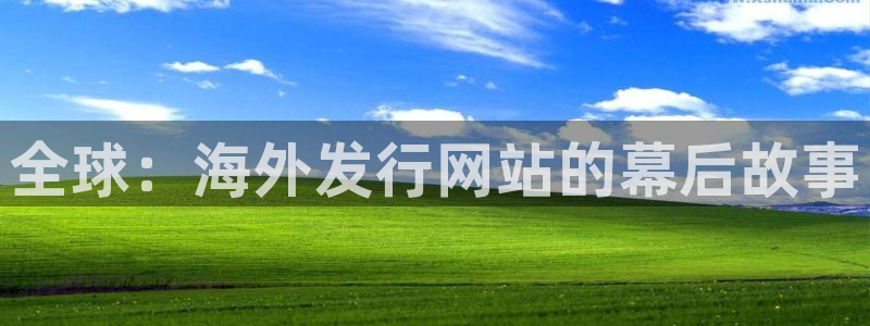 新城平台登录密码忘了怎么找回