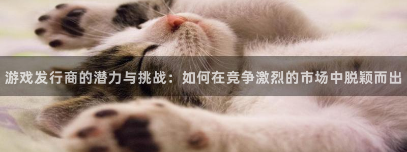 新城平台是干嘛的公司有哪些