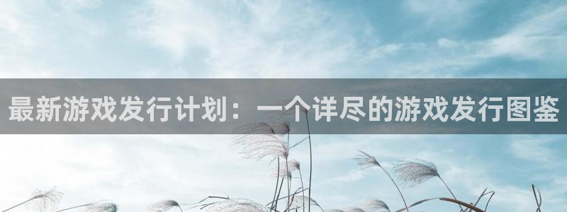 新城平台代理注册流程