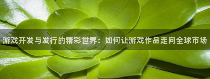 新城平台登录入口官网首页