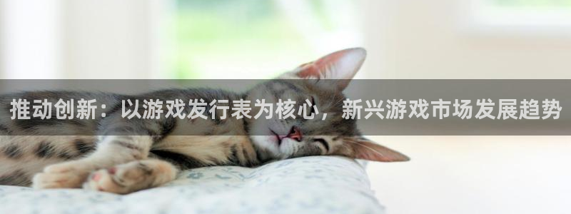新城平台代理注册条件