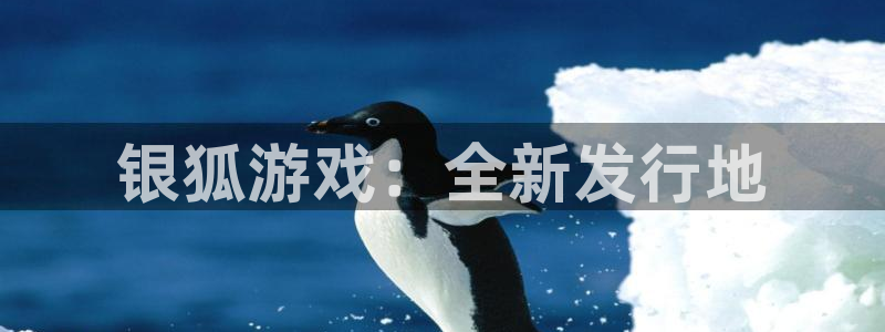 新城平台是干嘛的公司