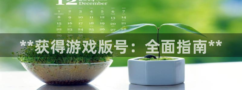 新城平台平台最新活动信息：**获得游戏版号：全面指南**