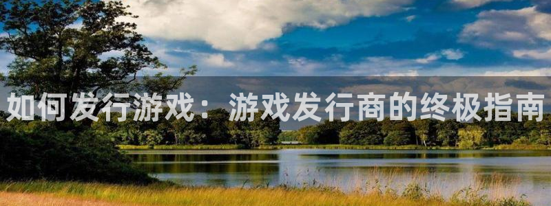 新城平台注册资金多少亿：如何发行游戏：游戏发行商的终极指南
