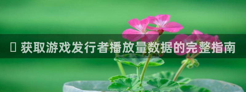 新城平台平台最新活动消息