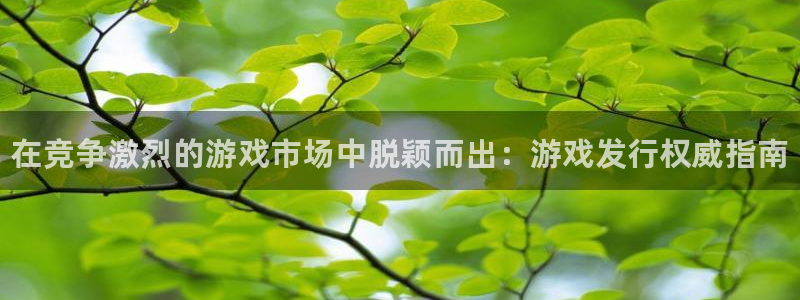 新城平台负责人是谁：在竞争激烈的游戏市场中脱颖而出：游戏发行权威指南