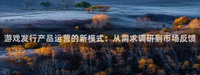 新城平台登录密码忘了怎么办：游戏发行产品运营的新模式：从需求调研到市场反馈