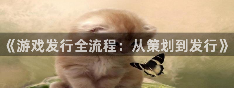 新城平台注册网址查询：《游戏发行全流程：从策划到发行》