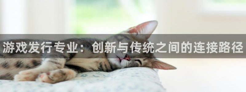 新城平台是正规平台吗：游戏发行专业：创新与传统之间的连接路径