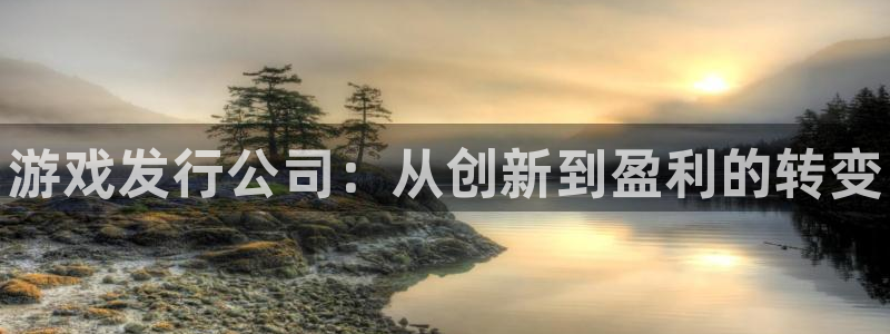 新城平台进·新城平台：游戏发行公司：从创新到盈利的转变