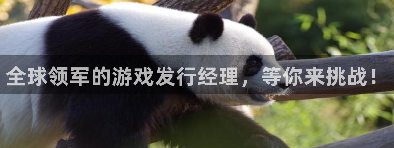 新城平台代理电话：全球领军的游戏发行经理，等你来挑战！