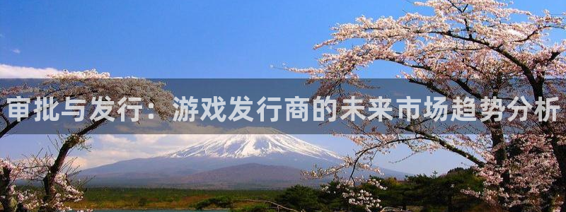 新城平台代理注册公司：审批与发行：游戏发行商的未来市场趋势分析