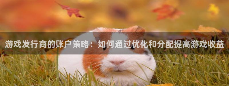 新城平台游戏：游戏发行商的账户策略：如何通过优化和分配提高游戏收益