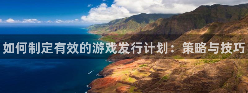 新城平台登录入口官网网址查询：如何制定有效的游戏发行计划：策略与技巧