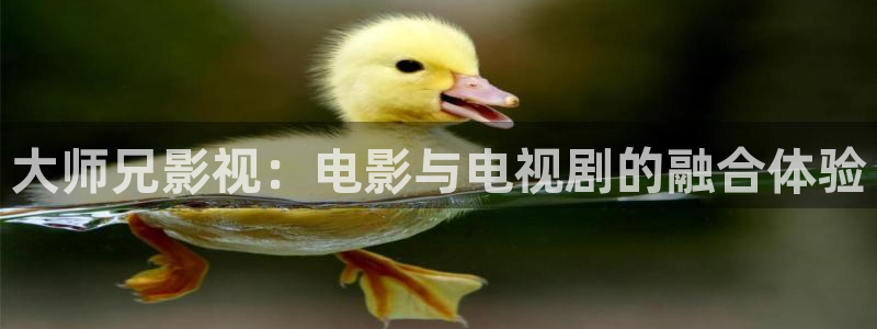 天狼影视在线观看网站：大师兄影视：电影与电视剧的融合体验