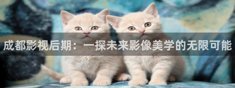 天狼影院2019最新电视剧在线观看：成都影视后期：一探未来影像美学的无限可能