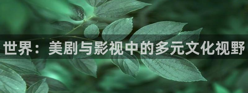 2020年最新电影天狼影院：世界：美剧与影视中的多元文化视野