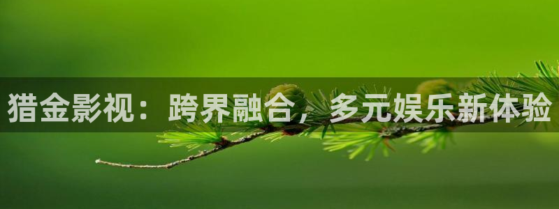 天狼电影在线观看：猎金影视：跨界融合，多元娱乐新体验