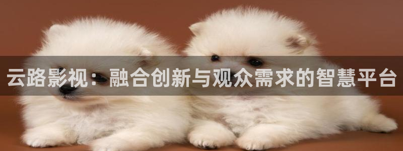天狼电影网在线观看免费完整版：云路影视：融合创新与观众需求的智慧平台