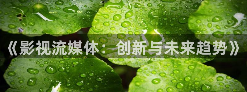 最新电影天狼影院：《影视流媒体：创新与未来趋势》