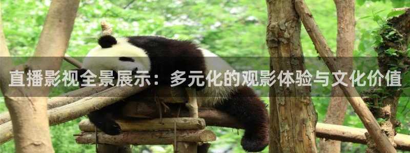 天狼影院韩国最新版：直播影视全景展示：多元化的观影体验与文化价值
